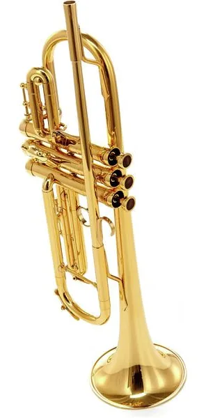 Adams A6 Brass 045 Selected Lacquer detail 4