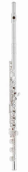 Altus AS-A10 RBEO-S Flute detail 2