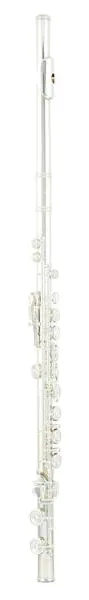Azumi AZ-S3 E Flute detail 2