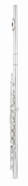 Azumi AZ-Z1 E Flute detail 2