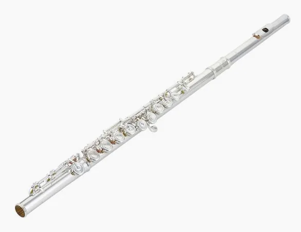 Azumi AZ-Z1 E Flute detail 3