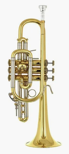 Bach 181L Cornet detail 2