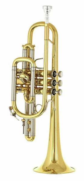 Bach 181L Cornet detail 3
