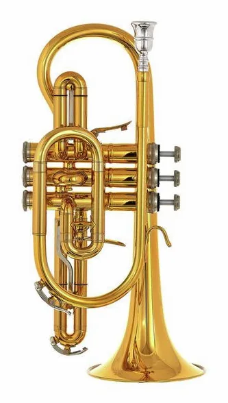 B&S 3142/2-GL Brochon Bb-Cornet detail 2