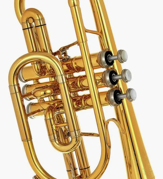 B&S 3142/2-GL Brochon Bb-Cornet detail 5