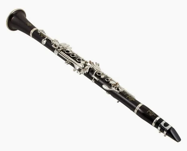 Buffet Crampon E-13 Bb-Clarinet 17/6 Gig Bag detail 4