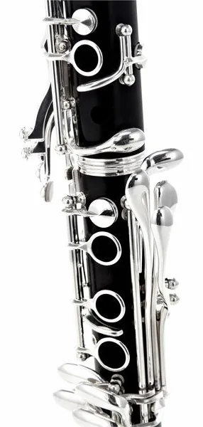 Buffet Crampon E-13 Bb-Clarinet 18/6 Gig Bag detail 5