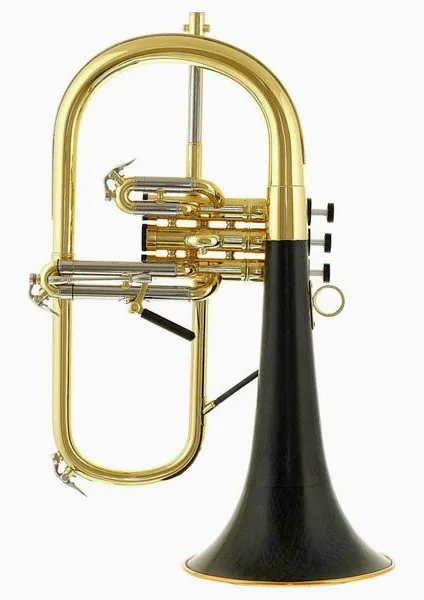 daCarbo Goldlac flugelhorn vooraanzicht