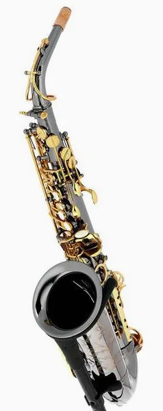 Forestone GX Black Nickel Alto Sax detail 2