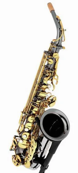 Forestone GX Black Nickel Alto Sax detail 4