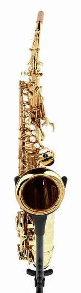 Forestone GX Gold Lacquered Alto Sax detail 3