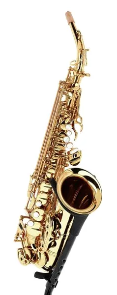 Forestone GX Gold Lacquered Alto Sax detail 4
