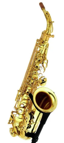 Forestone RX Unlacquered Alto Sax detail 4
