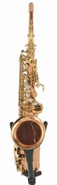 Forestone RX Red Brass GL Alto Sax detail 3