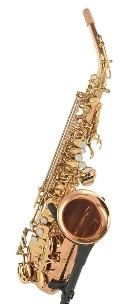 Forestone RX Red Brass GL Alto Sax detail 4