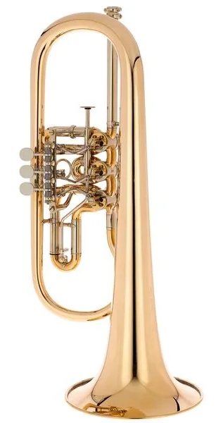 Gerd Dowids BZ-Series Bb-Flugelh. GL91 raw detail 3