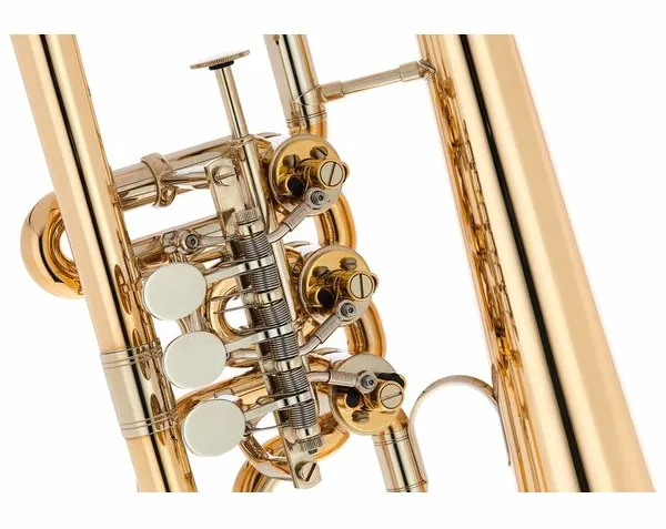 Gerd Dowids BZ-Series Bb-Flugelh. GL91 raw detail 5