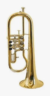 Gerd Dowids BZ-Series Bb-Flugelhorn G88 GP vooraanzicht