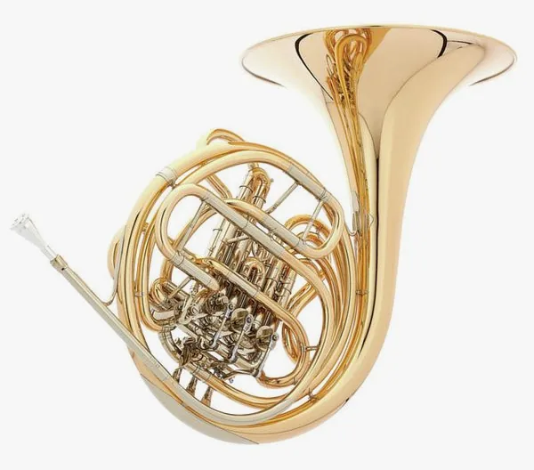 Hans Hoyer 6801G-L Double Horn detail 4