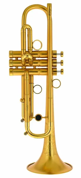 InstruVents Brass Gaia Bb-Trumpet vooraanzicht