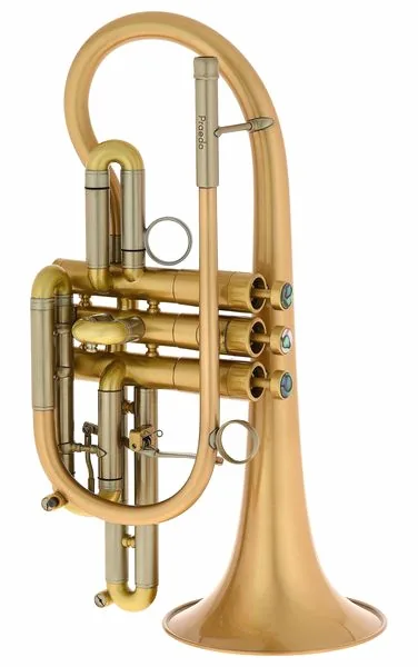 Martin Böhme Praedo Bb-Cornet detail 3