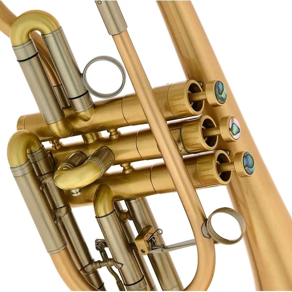 Martin Böhme Praedo Bb-Cornet detail 5