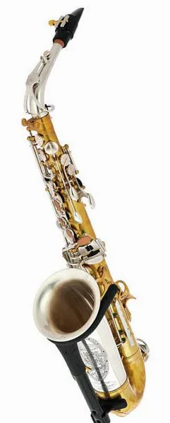 Rampone & Cazzani Two Voices Alto Sax OTS detail 2