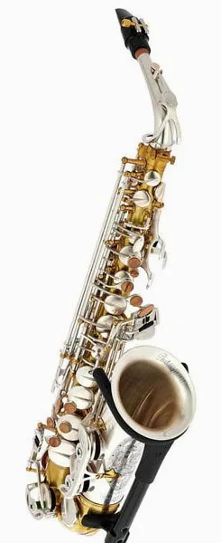 Rampone & Cazzani Two Voices Alto Sax OTS detail 4