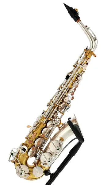 Rampone & Cazzani Two Voices Alto Sax OTS detail 5