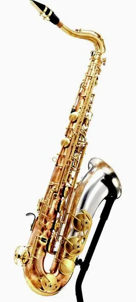 Rampone & Cazzani Two Voices Tenor Sax BRS detail 4