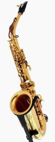 Rampone & Cazzani Solista Alto Sax detail 2