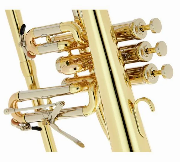 Schagerl Dione Flugelhorn detail 5