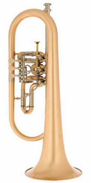 Schagerl Hans Gansch Flugelhorn scratch detail 2