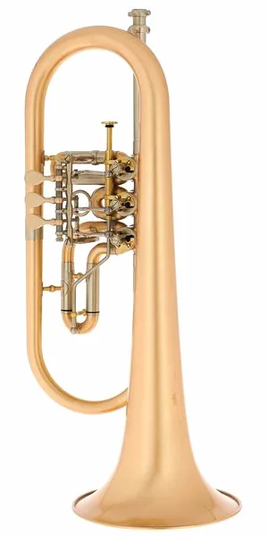 Schagerl Hans Gansch Flugelhorn scratch vooraanzicht