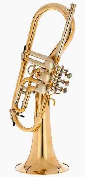 Schagerl Killerking Flugelhorn UL detail 3
