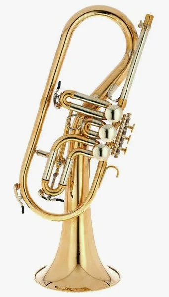 Schagerl Killerqueen "Z" Flugelhorn UL vooraanzicht