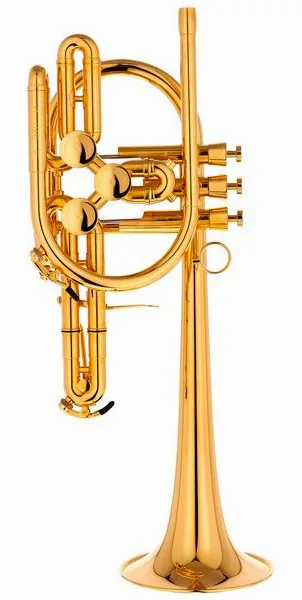 Schagerl Raweni Bb-Trumpet GP detail 2
