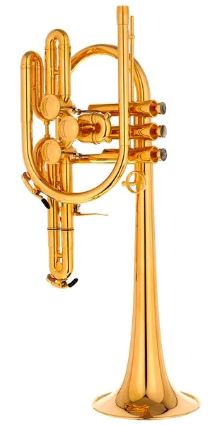 Schagerl Raweni Bb-Trumpet GP detail 3