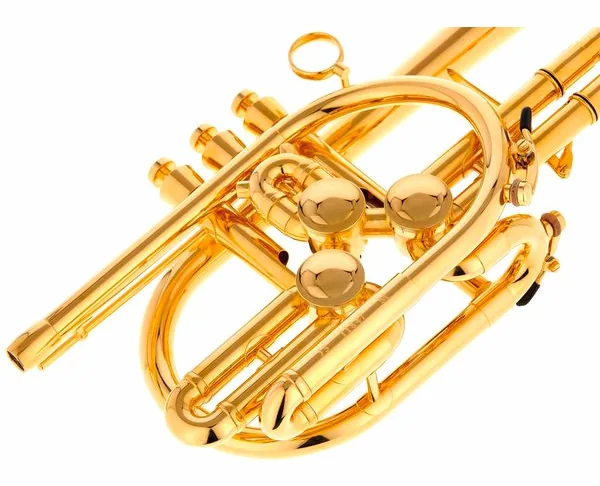Schagerl Raweni Bb-Trumpet GP detail 5