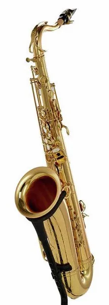 Schagerl Superior Tenor Sax T-1L detail 2