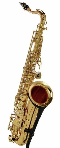 Schagerl Superior Tenor Sax T-1L detail 4