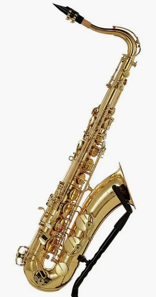 Schagerl Superior Tenor Sax T-1L detail 5
