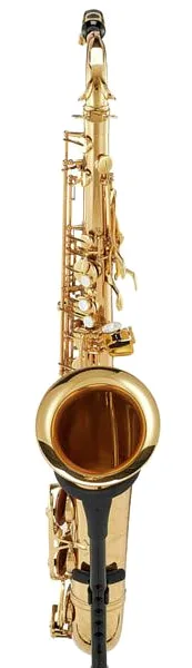 Schagerl SuperiorPro Tenor Sax T-2L detail 3