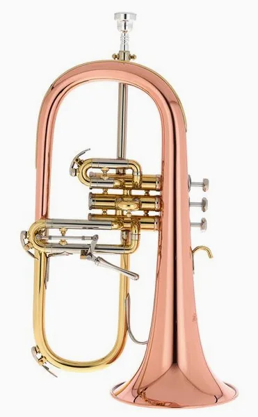 Schilke 1041 FLC Bb- Flugelhorn vooraanzicht