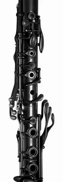 Selmer Privilege Bb-Clarinet 18/6 BK detail 2
