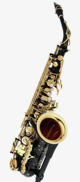 Selmer SE-A2B Black Alto Sax detail 4