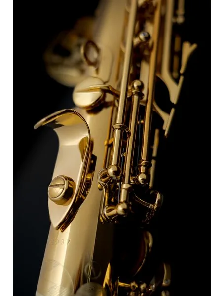 Selmer Signature Soprano Sax SE-SSIL detail 5