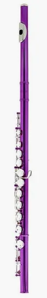 Startone SFL-55 PK Flute Pink detail 2