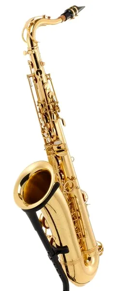 Startone STS-75 Tenor Sax detail 2