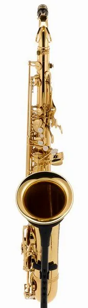 Startone STS-75 Tenor Sax detail 3